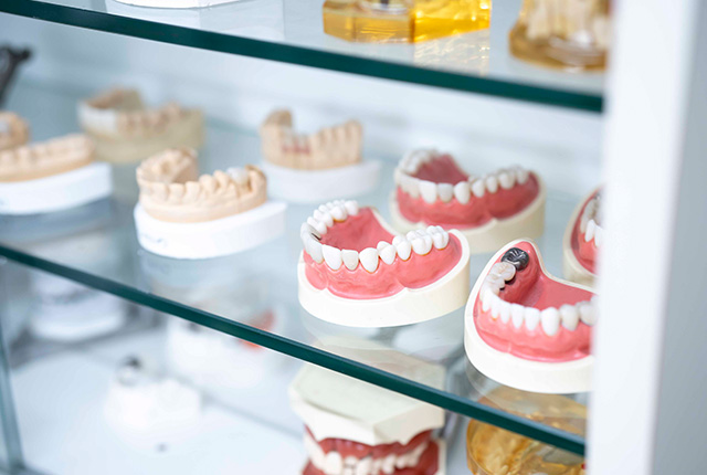 山田歯科医院の自費診療で作る入れ歯の特徴